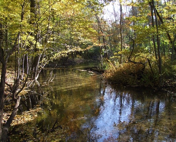 MichiganEGLE's tweet photo. Michigan’s nonpoint source program leads nation in protecting high quality waters through conservation easements: https://t.co/AdyeQfpiTS #MiEnvironment #Wetlands #NonpointSource https://t.co/jG7BYoSJne