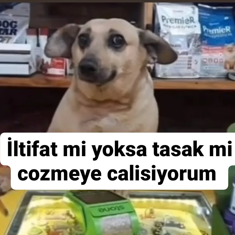 ANLIK (@anlikmod) on Twitter photo 