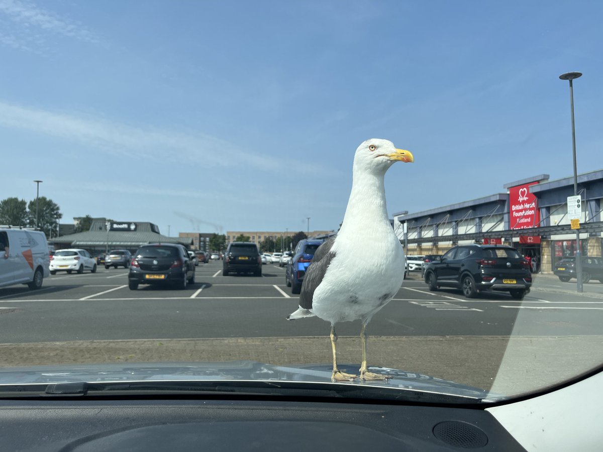 David Cowan tweet media