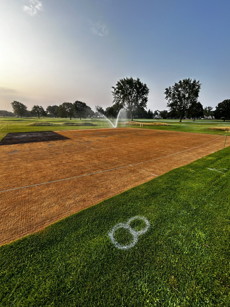 Mike Mosquera ⚡️ tweet media