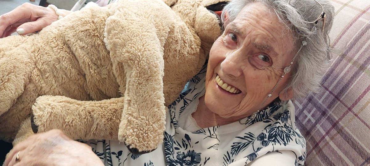 Perfect smiles.
<a href="/AnchorLaterLife/">Anchor</a>