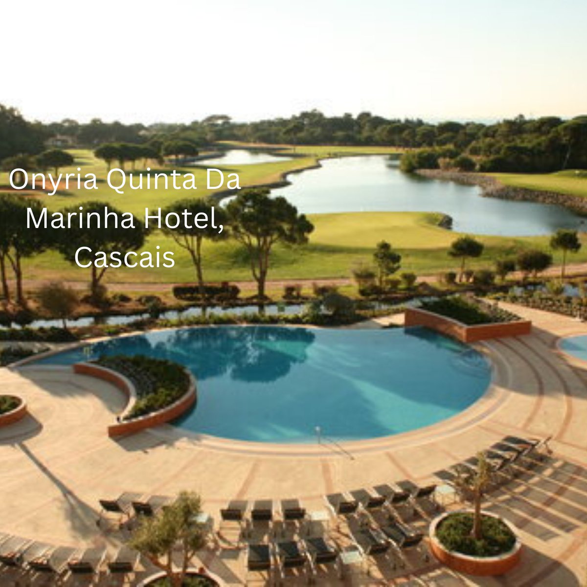 sportinghigh's tweet photo. Looking for some inspiration for your next golfing getaway? 

Check out our most popular golf hotels &amp; resorts  👉 https://t.co/2n13tEoelV

#golftravel #golfresorts #golfhotels #golfing #golftrip #beautifulgolfcourses #golfcourses #topgolfdestinations #golfholidays #golfvacation https://t.co/brytJHsHFZ