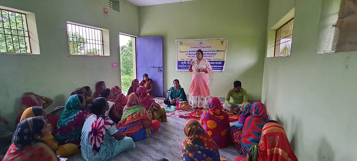 kvkdhenkanal's tweet photo. Capacity building of farmers and farm women on Backyard Poultry Rearing at village: Ichhapur, Block: Dhenkanal Sadar" under NICRA-TDC Project on 31.07.2024
#CapacityBuilding #PoultryTraining #BackyardPoultry #SustainableFarming
@icarindia @AtariKolkata @OdishaUniversi1 https://t.co/Epdcw7gWn2