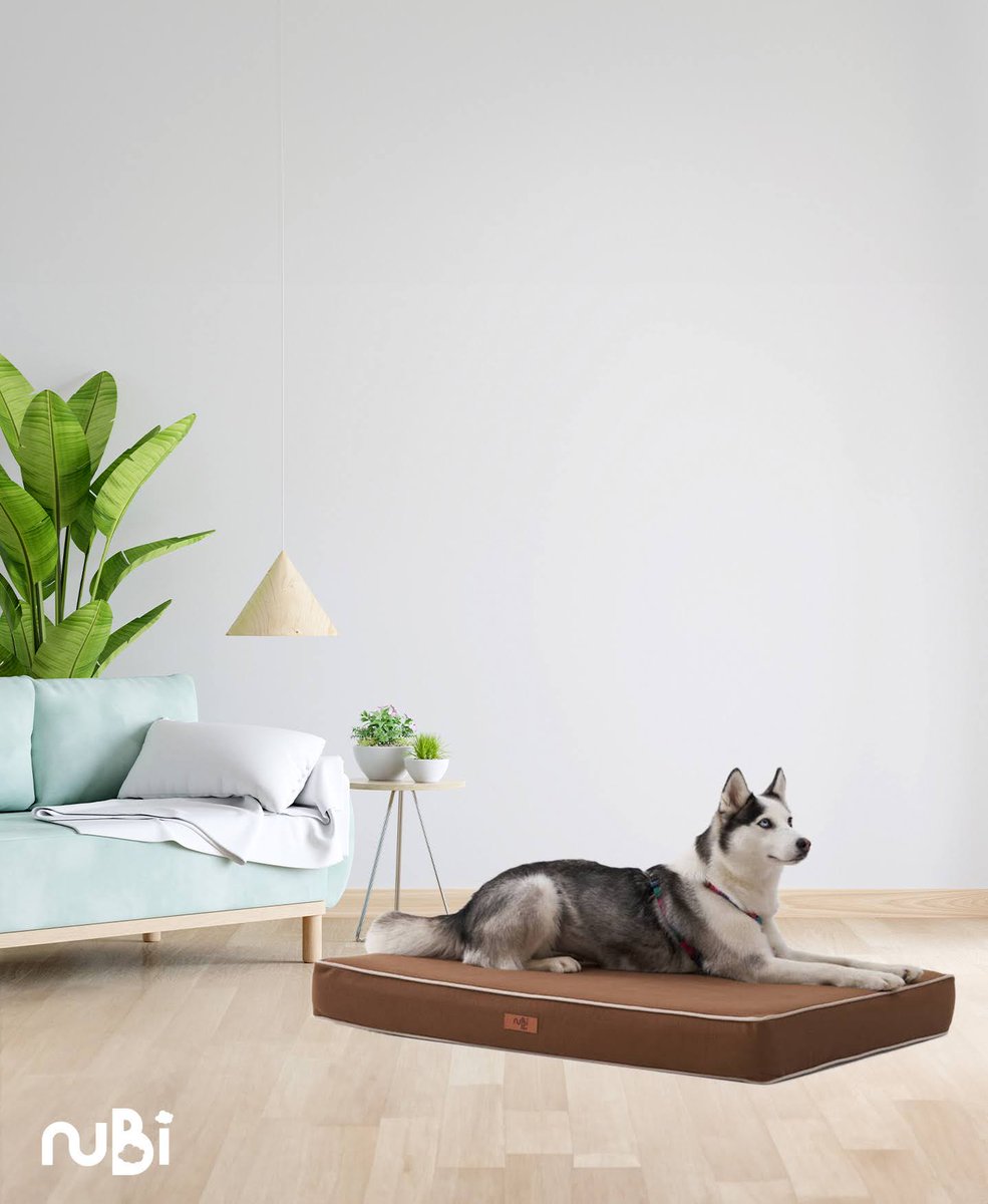 Nubi Sleep, sevimli dostlarımızı da ViscoStar rahatlığı ile buluşturuyor.

#Nubisleep #Nubiyatak #NubiPati