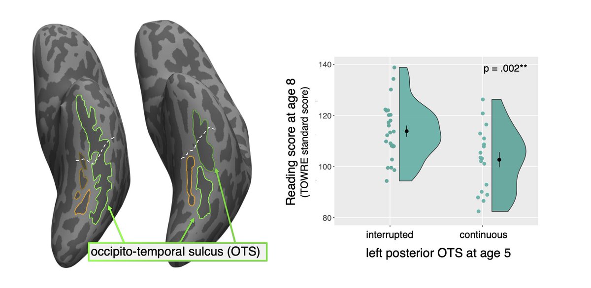 Florence Bouhali tweet media