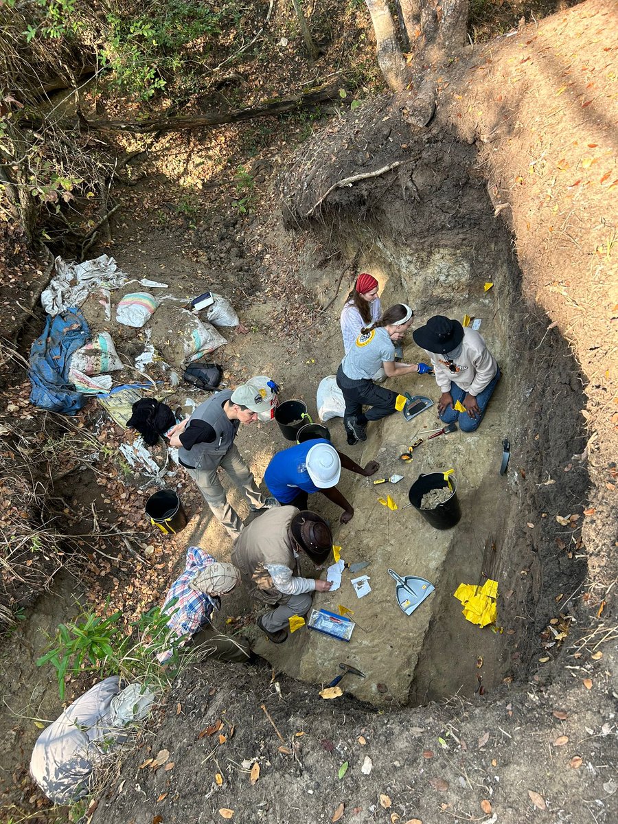 paleo_group's tweet photo. Excavations are underway at the fossil site in @GorongosaPark. The Paleo-Primate Project Gorongosa team are uncovering Miocene fossils, allowing us to learn about species that were present millions of years ago, the environments they occupied, and how they evolved 🦴 https://t.co/E1uG9Qbggr
