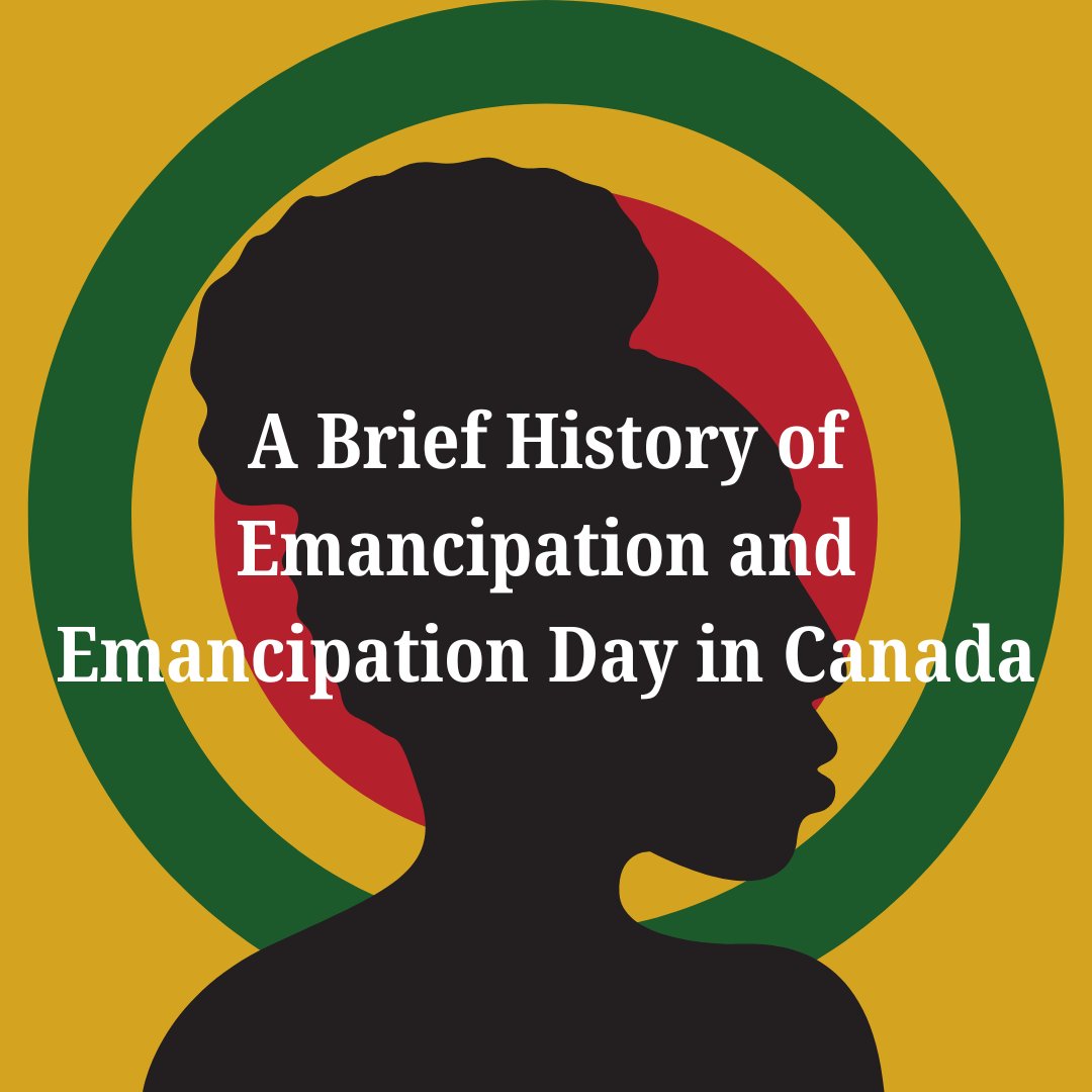 Kingston Immigration tweet media