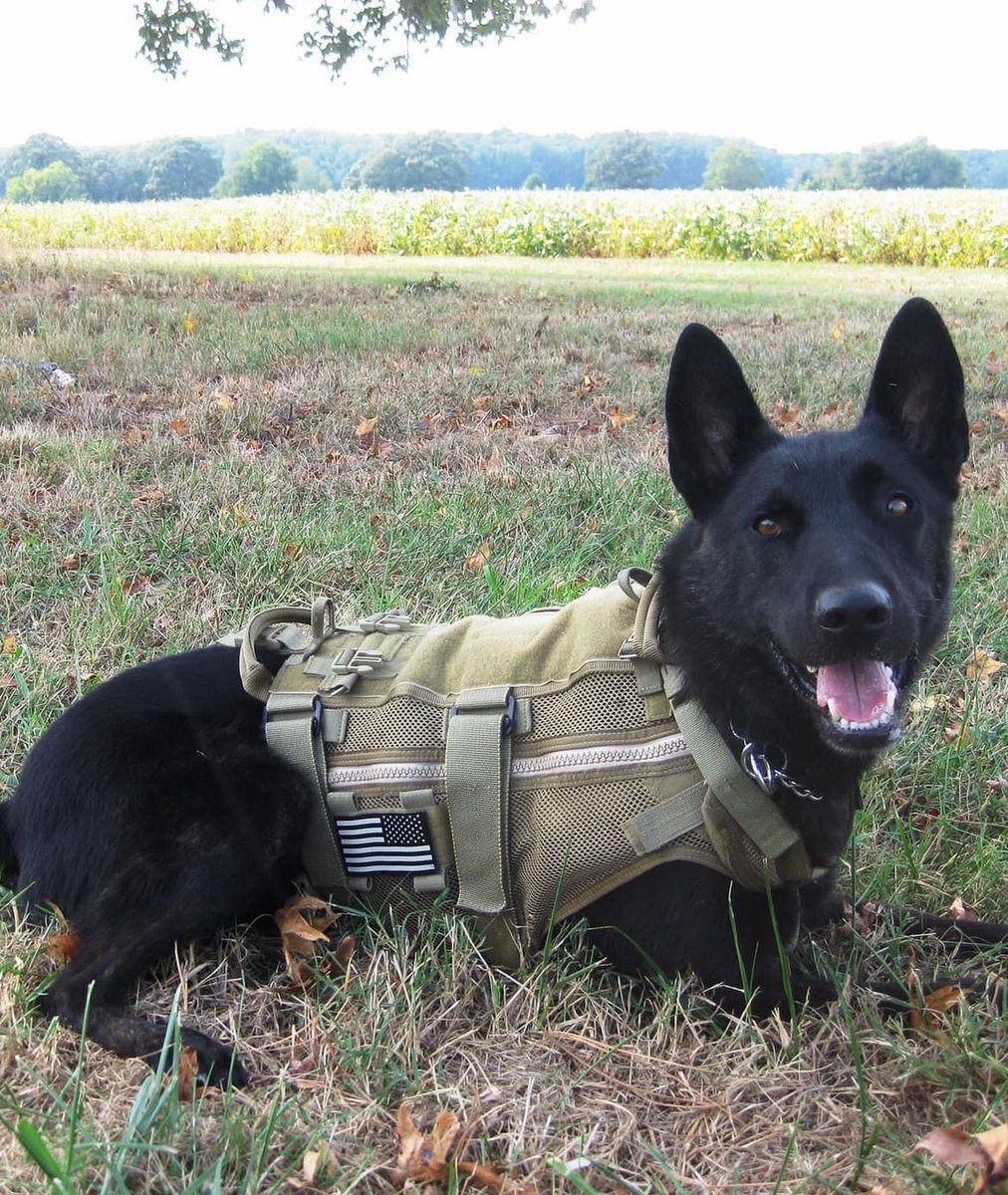 op_hawkeye's tweet photo. 7.31.2011 ~ Sgt. Christopher Wrinkle & Tosca πΊπΈ
#OpHawkeyeRemembers #ChristopherWrinkle #Tosca #BoyScout #MarineRaider #2MSOB #MARSOC #SpritusInvictus #SOFK9Memorial
π https://t.co/RlswSxcAYA
π° https://t.co/glXvj64aC6
π° https://t.co/lu0uZsaqD3
π° https://t.co/WH8mcX6D78 https://t.co/5AL2857Y7N