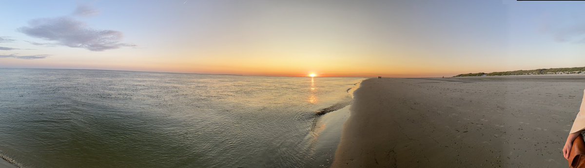 Wil Janssen tweet media