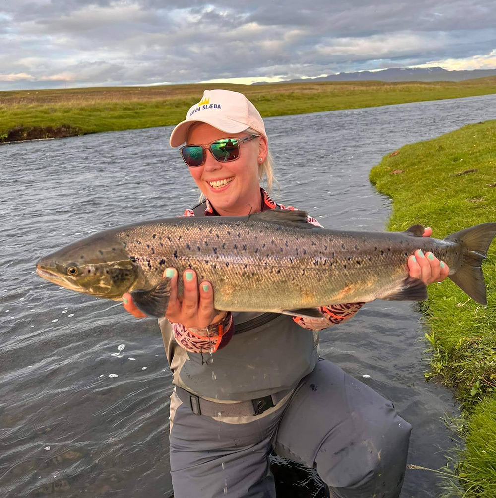 Saltwater on the Fly tweet media