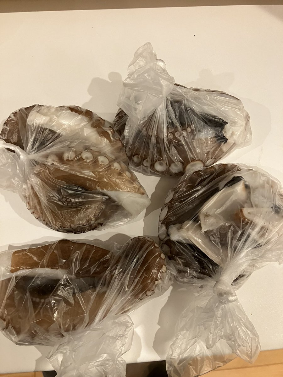 Naonku1's tweet photo. 雑賀崎産のタコを締めて即ボイル🐙🐙🐙しばらく堪能出来そうです https://t.co/TeWVcCbIix