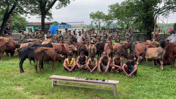 RitaMoni_Nath's tweet image. #CattleSmuggling stoped #BSFAlert

🇮🇳 Caught 69 Cattles in trucks &amp;amp; Arrested 6 Indian🇮🇳

#BSFMeghalaya #VikashDivyakriti #Paris2024 18% GST #Boxing #Cheer4Bharat #UPSC