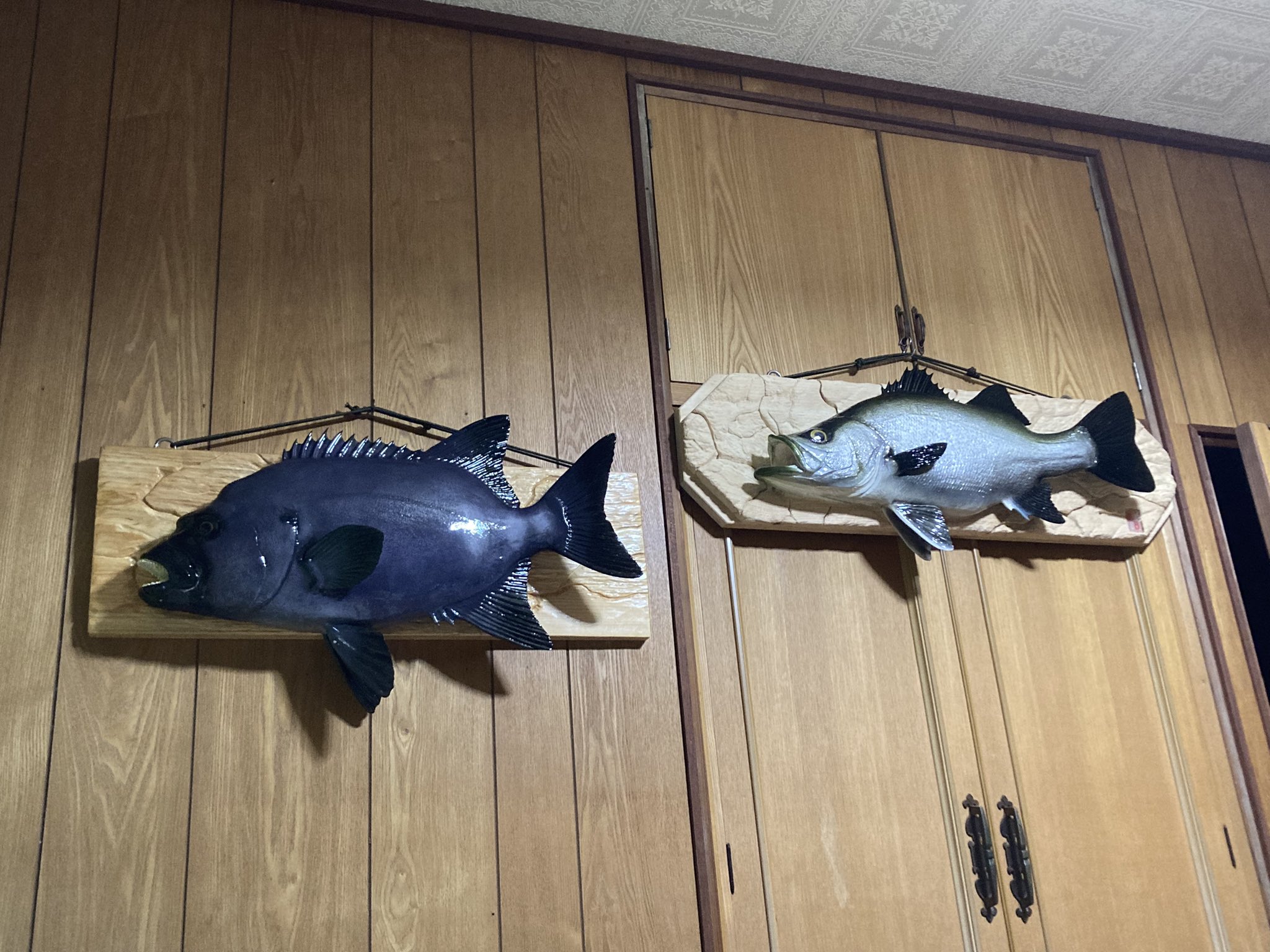 木彫りの石鯛 - Search / X