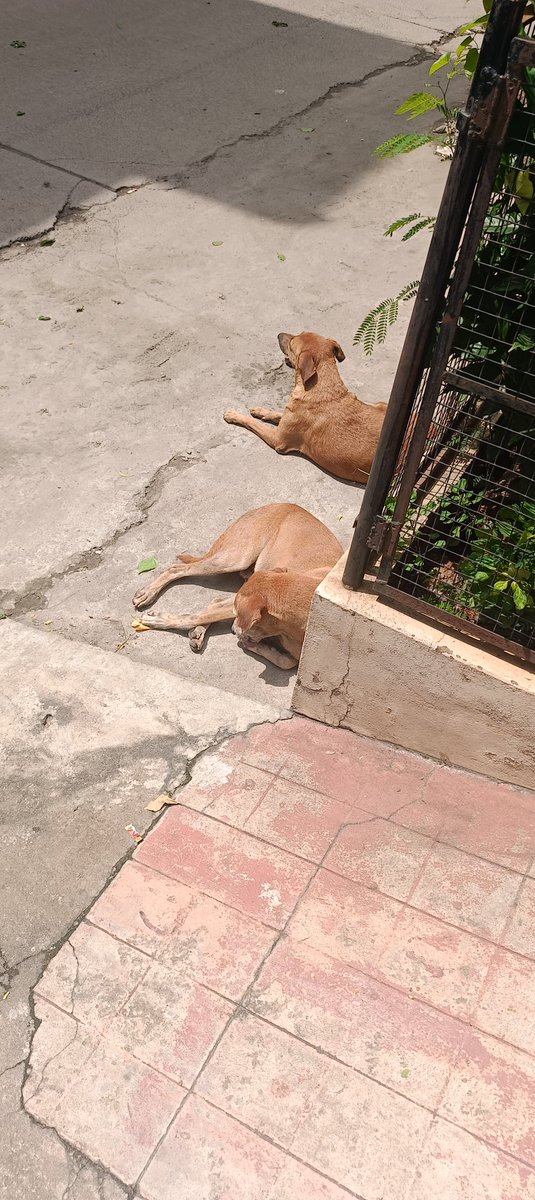 Sandeep Varikuppala tweet media