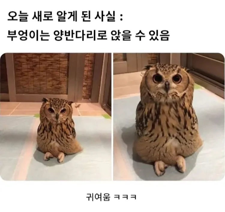 오늘 새로 알게 된 사실