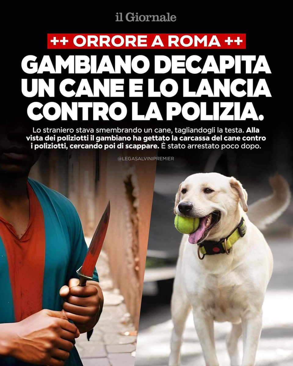 AlessioColzani's tweet photo. ‼️ ORRORE A #ROMA: GAMBIANO #DECAPITA UN #CANE E LO LANCIA CONTRO LA #POLIZIA 

Lo straniero stava smembrando un cane, tagliandogli la testa. Alla vista dei poliziotti il gambiano gli ha gettato contro la carcassa del cane, cercando poi di scappare. È stato arrestato poco dopo. https://t.co/D0e854PvRs