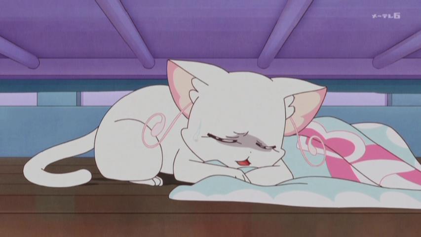 にゃ〜…（ここ最近は、本当に暑いわ…しかも…あまり来れなくなって