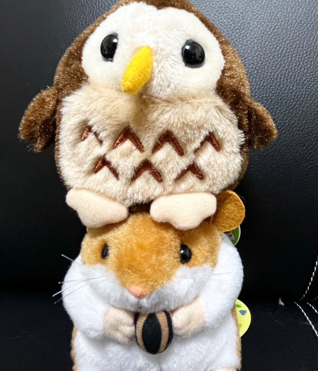 こんにちは！ぬいぐるみのテイクオフです！ 【ベイビーパレット