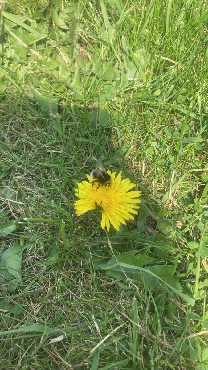 EAC Home Link Team tweet media