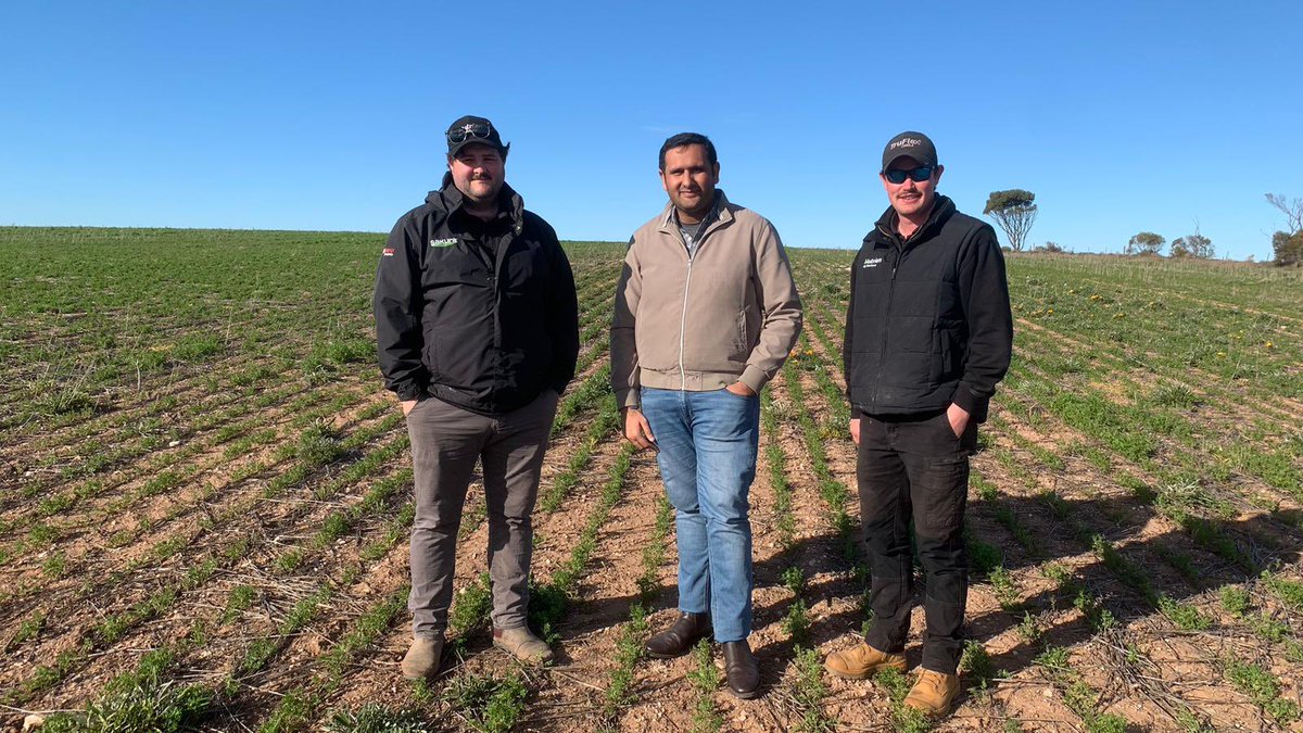 Ali Bajwa tweet media