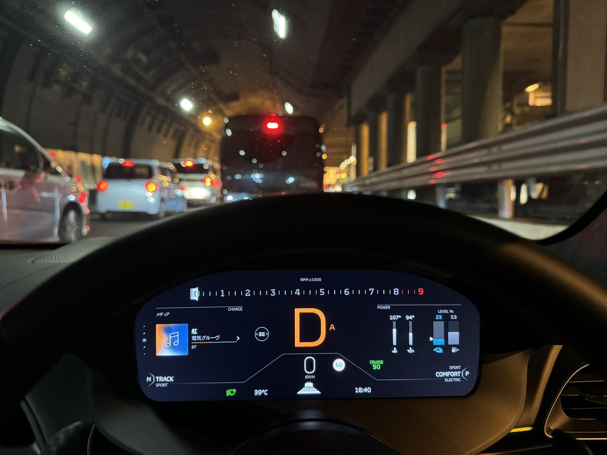 ジャガーを目指すトイプードル tweet media