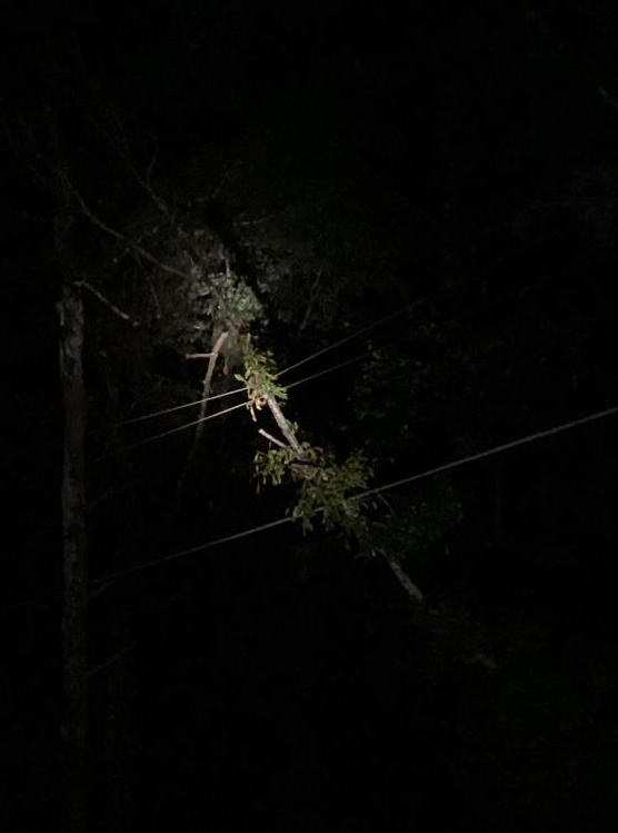 SawneeEMC's tweet photo. Last night's storms took down multiple trees and caused ~10,350 members to be without power. Our crews jumped into action &amp; by 12:30 am restored power to ~9,000 members and the remaining members were restored before the sun rose. Thank you for your patience and understanding! https://t.co/3ou1IhdHEp