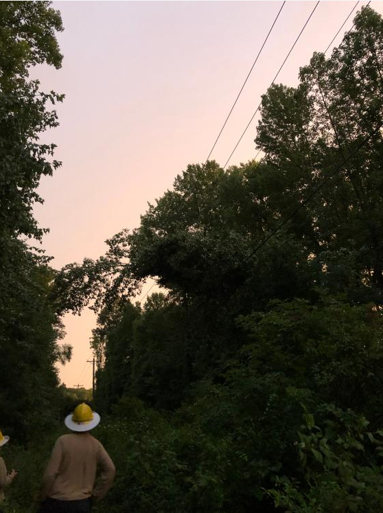 Last night's storms took down multiple trees and caused ~10,350 members to be without power. Our crews jumped into action &amp; by 12:30 am restored power to ~9,000 members and the remaining members were restored before the sun rose. Thank you for your patience and understanding!