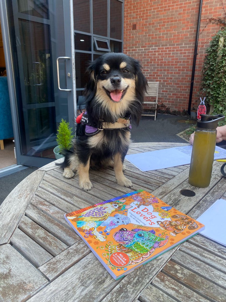 Nelson_Lodge's tweet photo. A nice morning in the shade before the sun comes round with a visit from our Seth ☀️🐶
#Nelsonlodge #anchor #doglover #sunshine https://t.co/gFmqbcuzvy