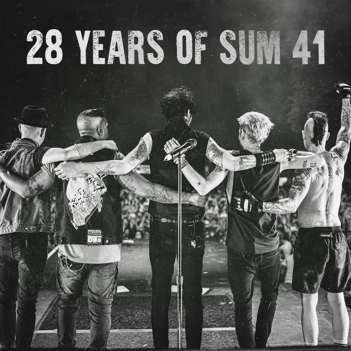 TheresNoSolution.com tweet media