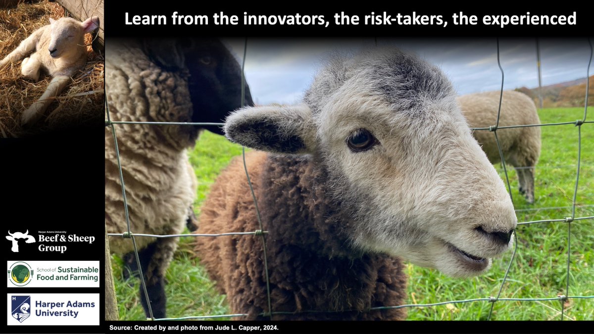 Prof. Jude Capper πππ (@bovidiva) on Twitter photo A huge pleasure to be part of the launch of the <a href="/natsheep/">National Sheep Association</a> and <a href="/TheSSFF/">School of Sustainable Food and Farming</a> report on UK #sheep farming and the #sustainability agenda at #Sheep2024 yesterday. π
It's just the start of the conversation, so please do read it, digest it, and take action! nationalsheep.org.uk/our-work/policβ¦ A huge pleasure to be part of the launch of the <a href="/natsheep/">National Sheep Association</a> and <a href="/TheSSFF/">School of Sustainable Food and Farming</a> report on UK #sheep farming and the #sustainability agenda at #Sheep2024 yesterday. π
It's just the start of the conversation, so please do read it, digest it, and take action! nationalsheep.org.uk/our-work/policβ¦