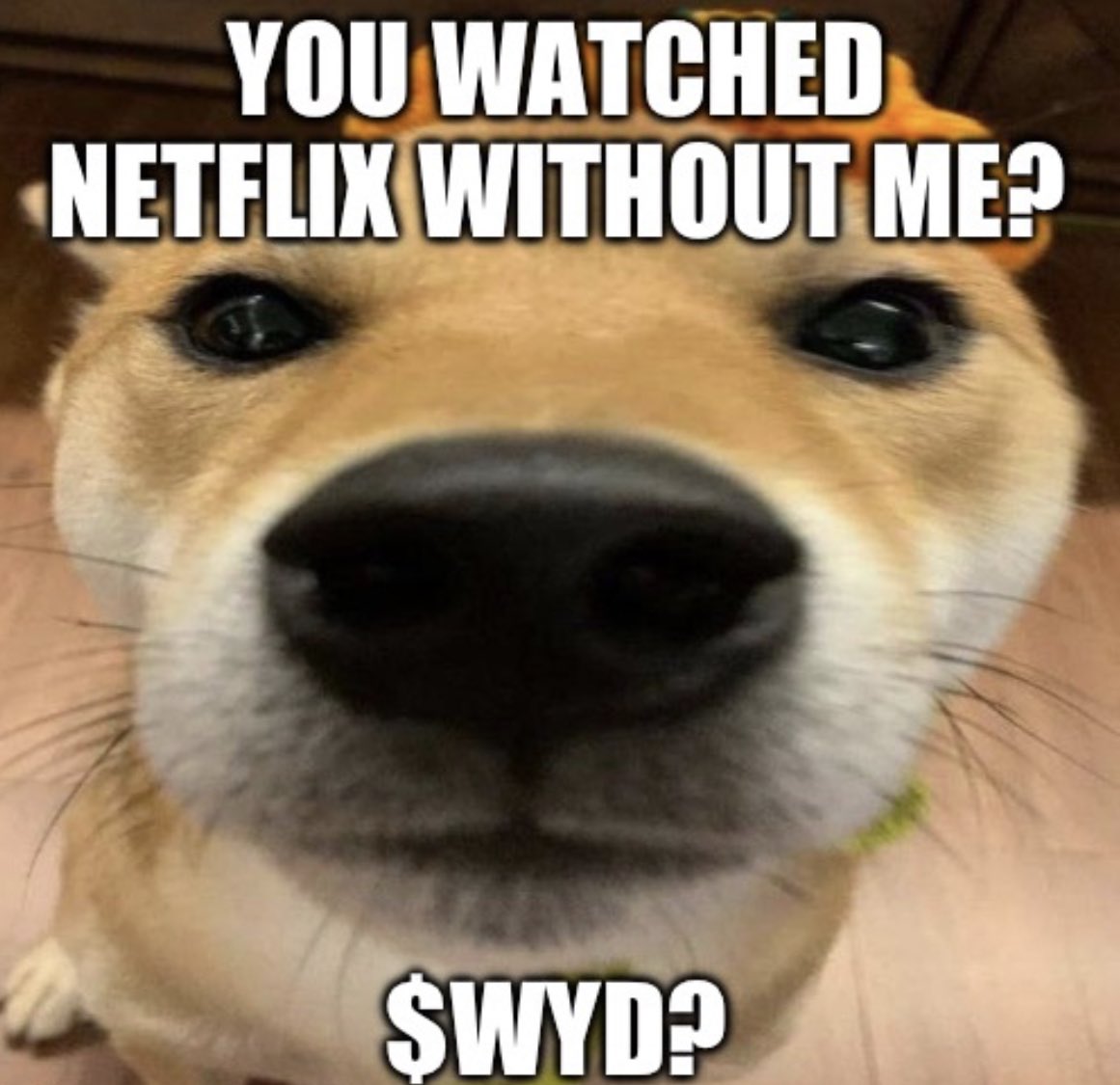 wyd_onsol's tweet photo. Netflix cheating

$wyd? https://t.co/mh7wL7PcBe