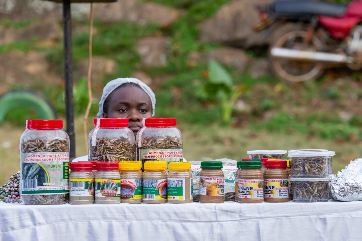 FAOUganda's tweet photo. 1/ Meet Nangobi Martha, chairperson of the Women of Hope Katosi Fish 🐟🐟 Processors Association, and one of our exhibitors at the #AgricShow24. Martha and her team add value to mukene, Nile perch, and tilapia. https://t.co/adimX9e15C