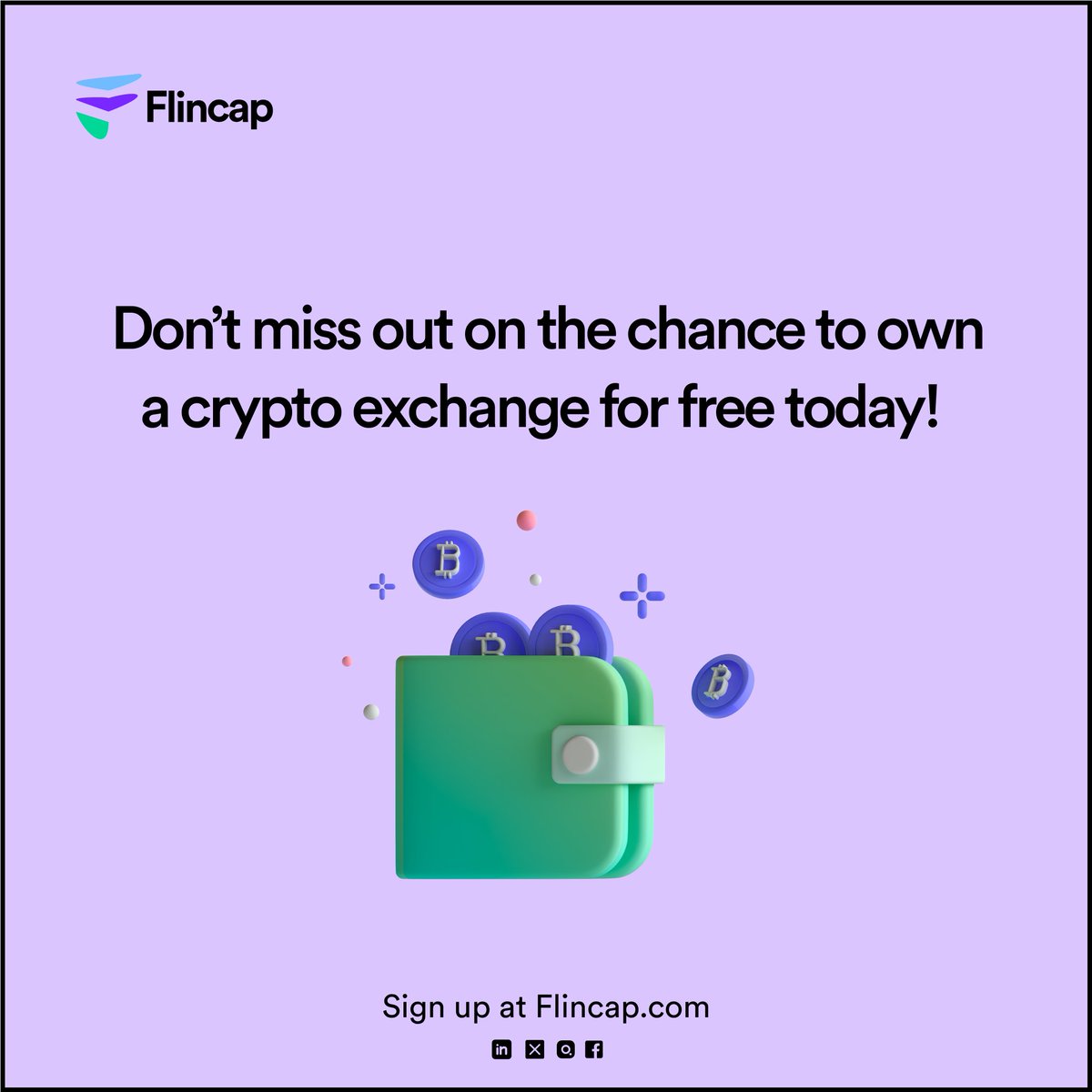Flincap tweet media