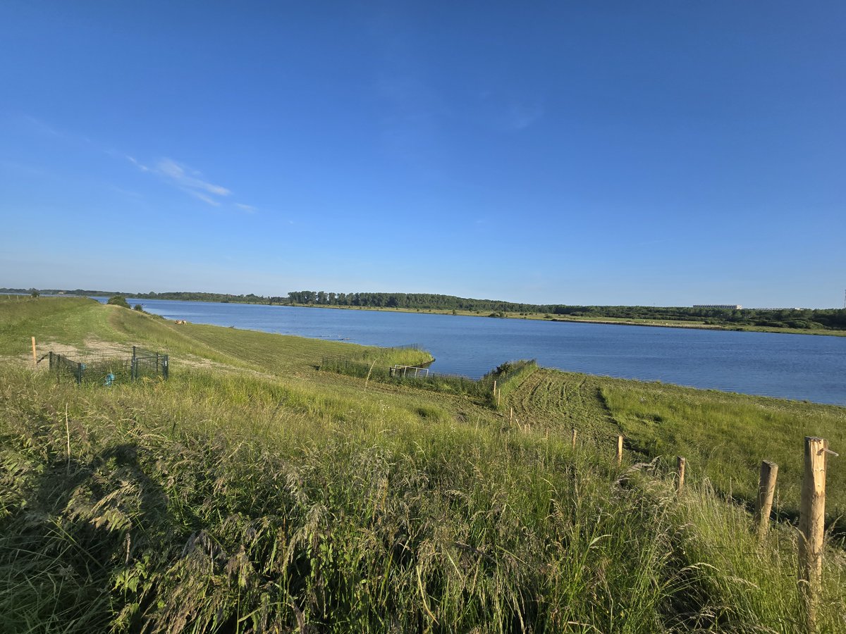 Op deze plek bij #Hoek leggen we een #vispassage aan. Vanaf dit najaar is voor vissen de weg vrij om tussen de Braakmankreek, de Hoekse kreek en de achterliggende polders te zwemmen 🐟🐠🐡. bit.ly/4d1tQh2 #Lovenpolder