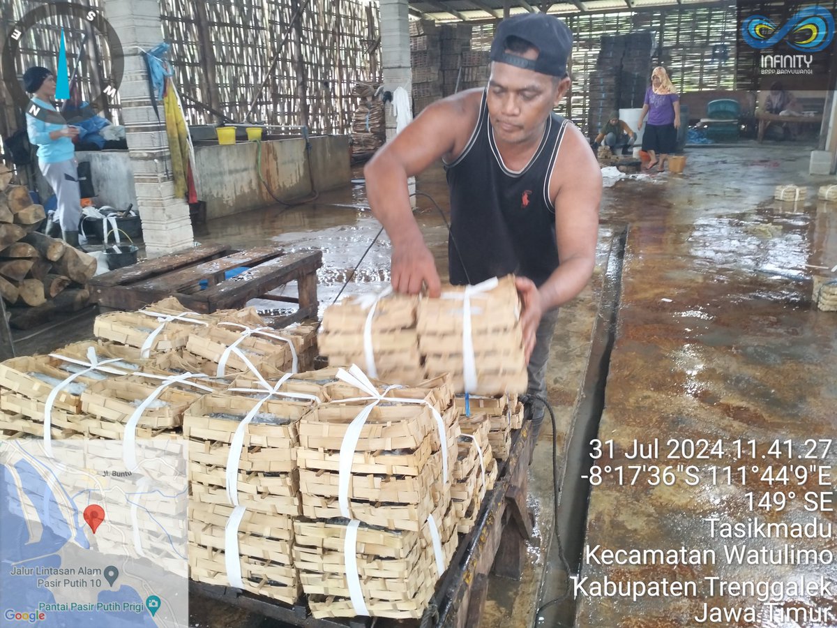 ibnu_m3's tweet photo. Rabu (31/7), Ibnu Mas'ud,S.Pi Luhkan Kab. Trenggalek. Pendataan produksi ikan pindang (Bpk Yasni) di Sentra Pemindangan ikan. Produksi bln Juli 27 ton harga 30.000-40.000/ikat (2 kg) dipasarkan ke Jombang.
#GiatLuhkanSatminkalBwi #luhlapor #produksi
@puslatluhkp @bppp_banyuwangi https://t.co/I15eM9dd7g