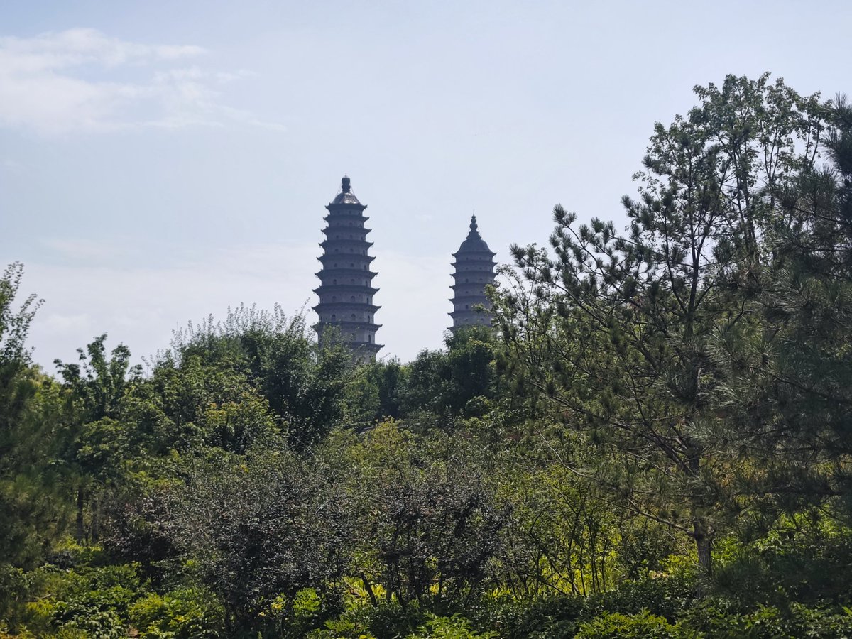 呼市一只 tweet media