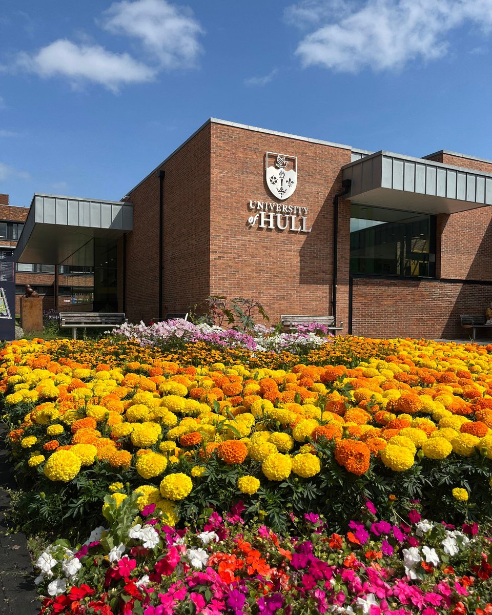 University of Hull tweet media
