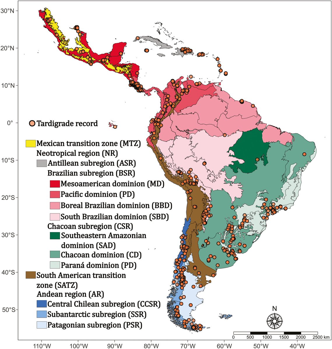 #Tardigrade data is geographically biased in Central &amp; South America, affecting #Macroecology research. Looking at non-marine tardigrades, this paper investigates how biased records affect our understanding of distribution patterns in the Neotropics 👇
ow.ly/RLlH50SOiiC