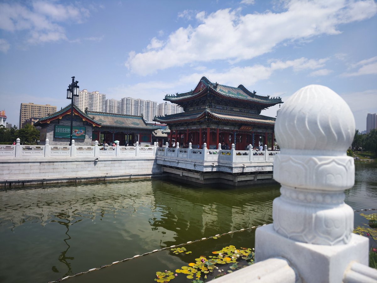 呼市一只 tweet media