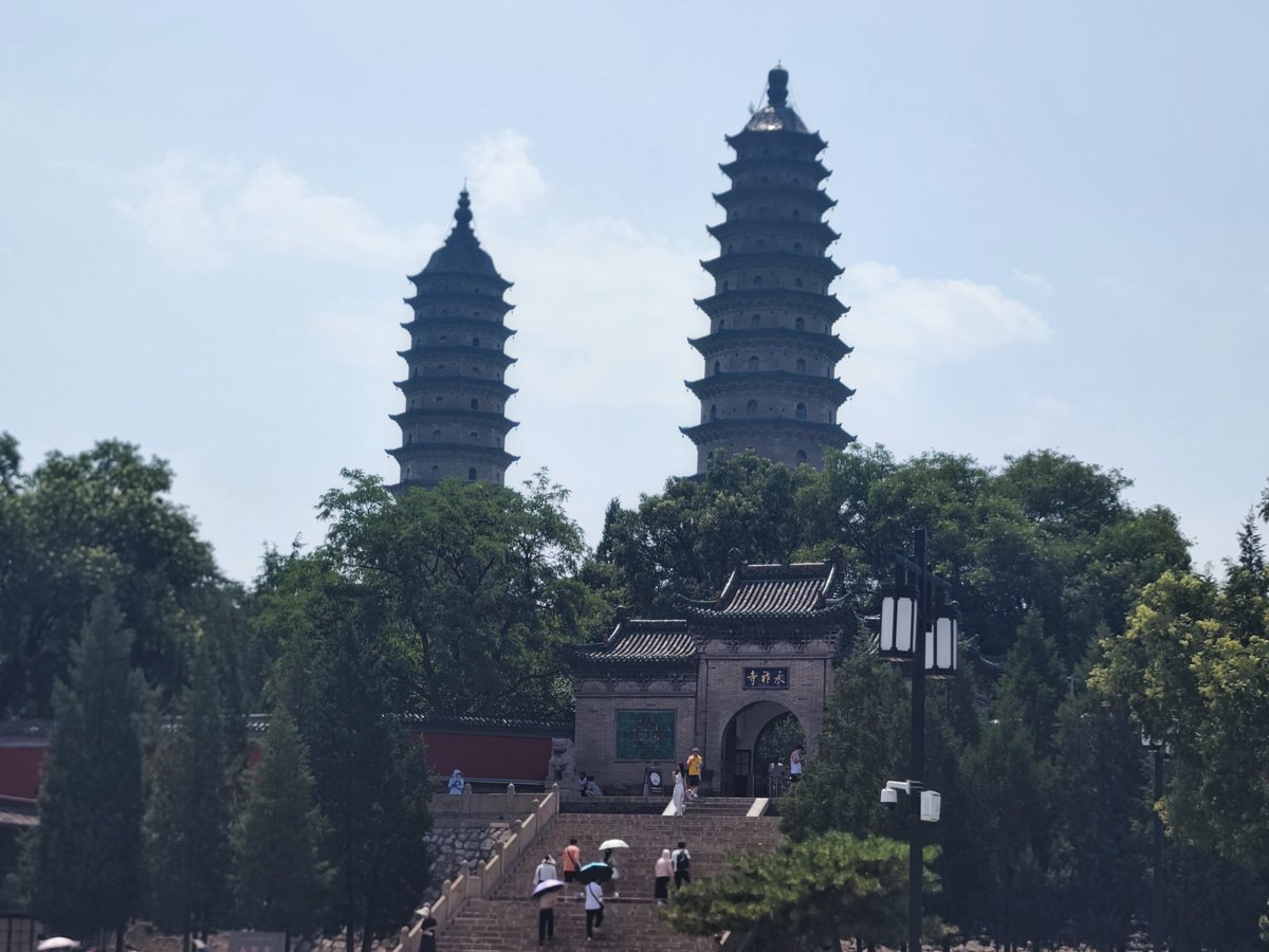 呼市一只 tweet media