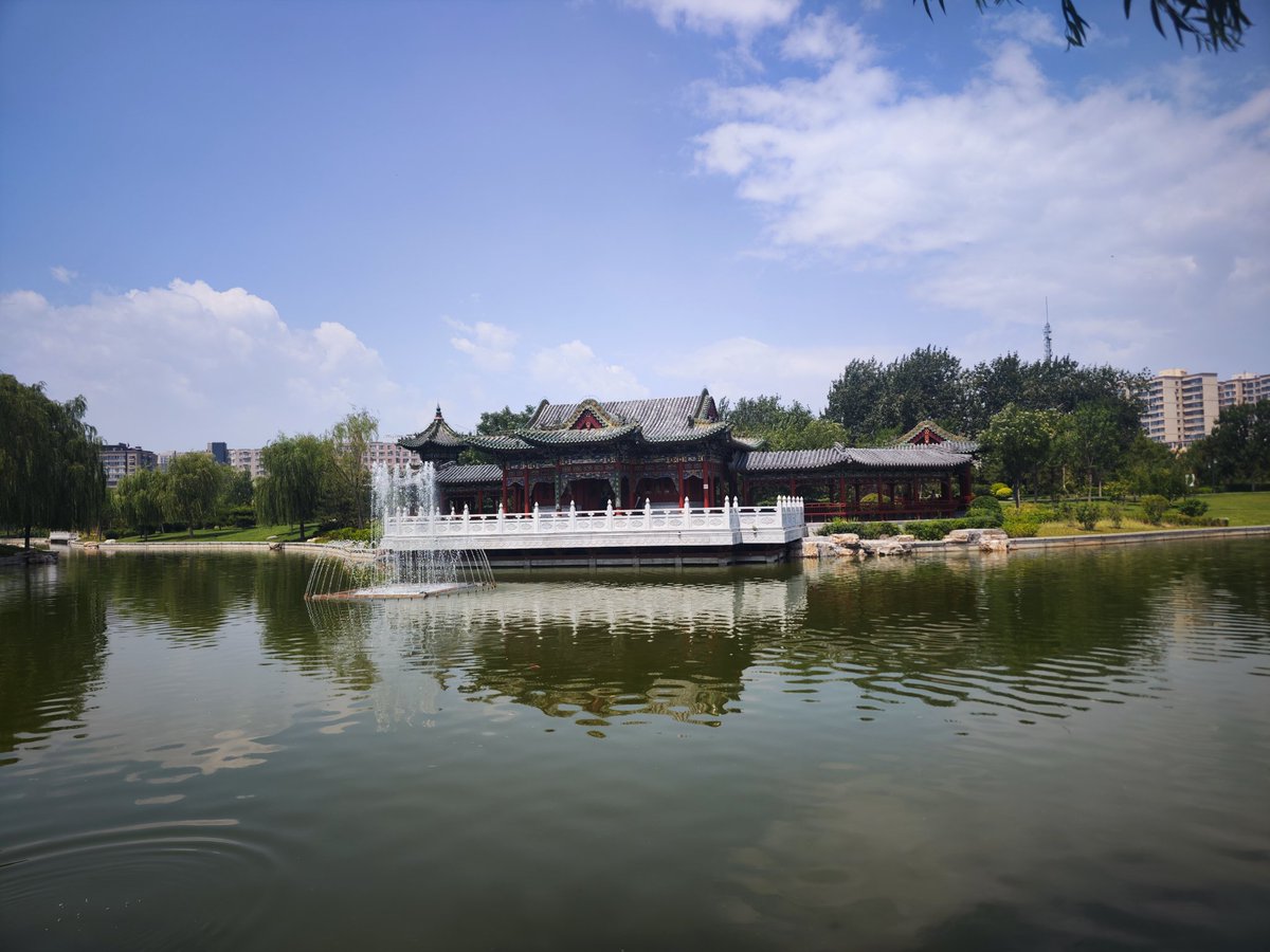 呼市一只 tweet media