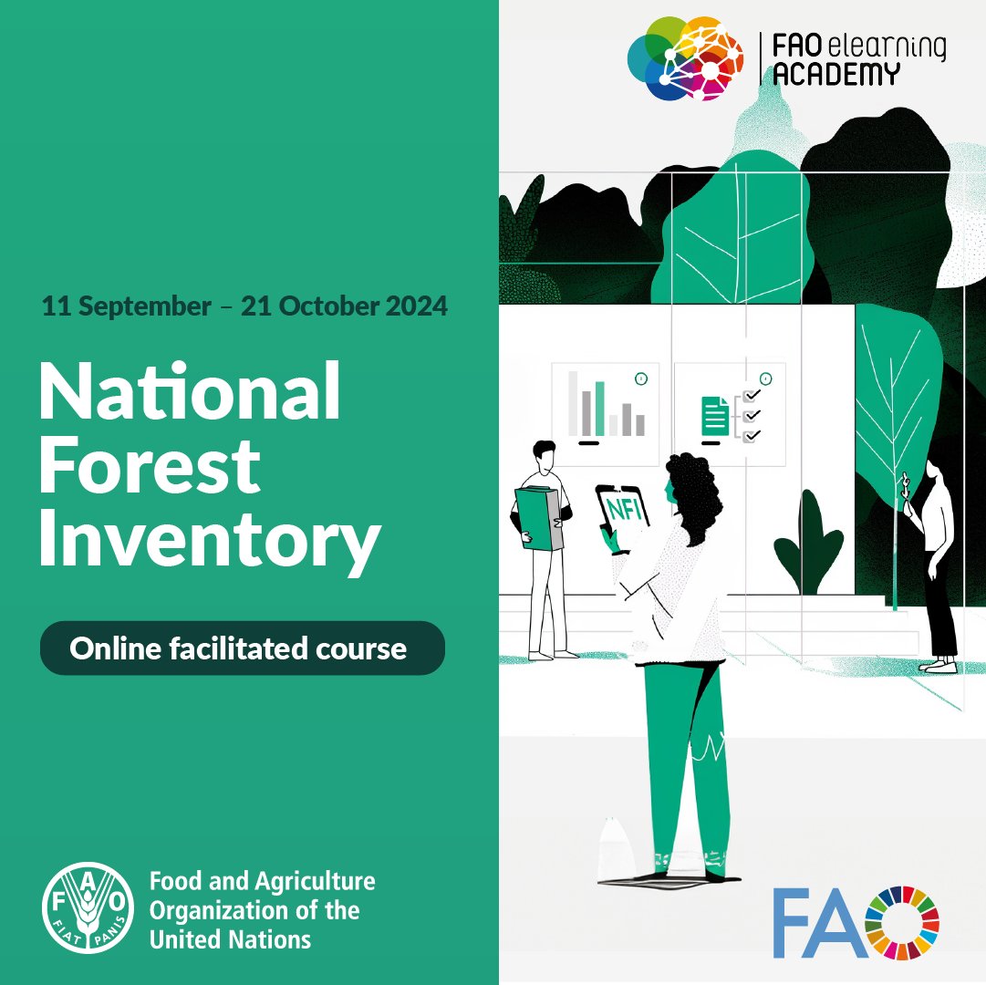 Want to explore the essentials of effective National Forest Inventory implementation, from planning to reporting?

Register today to our online course :
bit.ly/NFIonlinecourse

#Elearning #FAOelearningAcademy
<a href="/theGEF/">Global Environment Facility (GEF)</a> <a href="/energygovuk/">Department for Energy Security and Net Zero</a>
