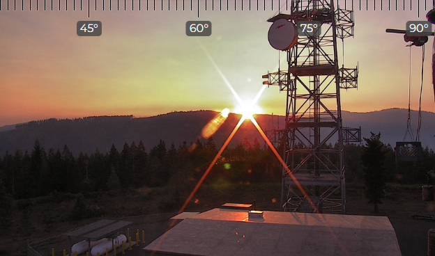 David Little tweet media