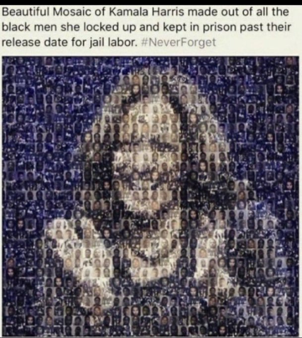 Hippyd87544's tweet photo. @MbGaUSA I'm voting for the FELON Trump 'over' the #SlaveDriver Harris. https://t.co/hzU8JBO0Kt