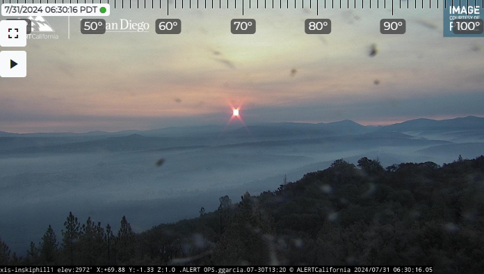 David Little tweet media