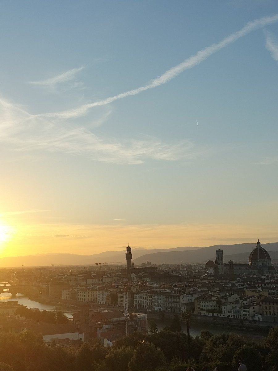 Sara Bescós Ramo tweet media