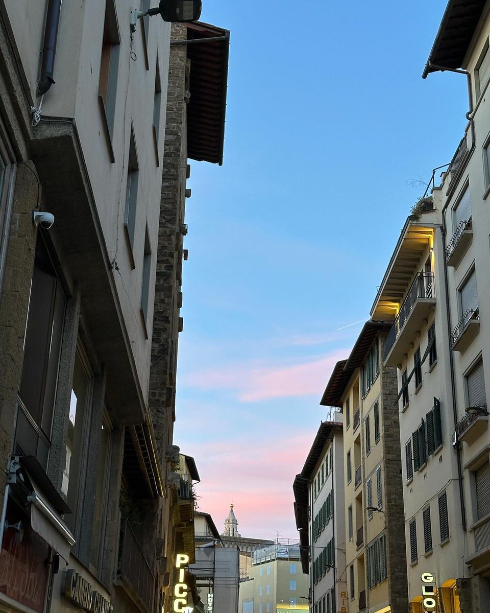 ･ᴗ･ (@bluda) on Twitter photo 