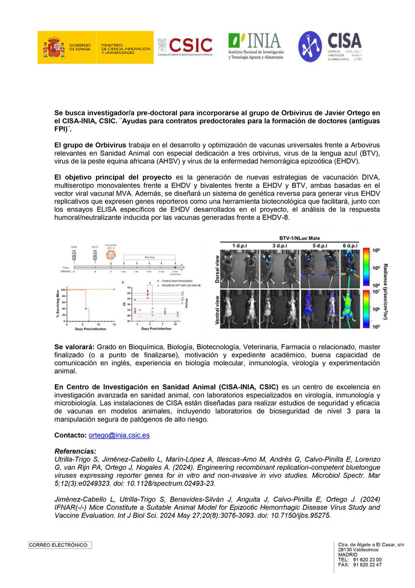 Ortego´s lab tweet media