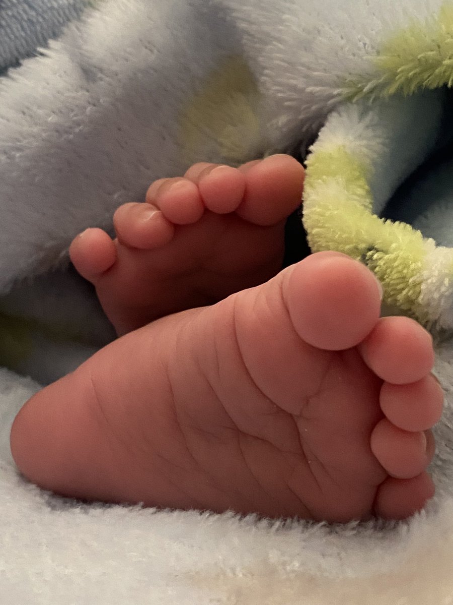 Daniel Annie Pope (@danielanniepope) on Twitter photo We are delighted to announce the arrival of a new member of our family - our precious baby boy “Aizel Hayes Daniel” We are overjoyed and filled with gratitude as we welcome our little bundle of joy into our lives! 🩵thank you <a href="/dd_deni12/">Denisha Sahadevan</a> We are delighted to announce the arrival of a new member of our family - our precious baby boy “Aizel Hayes Daniel” We are overjoyed and filled with gratitude as we welcome our little bundle of joy into our lives! 🩵thank you <a href="/dd_deni12/">Denisha Sahadevan</a>