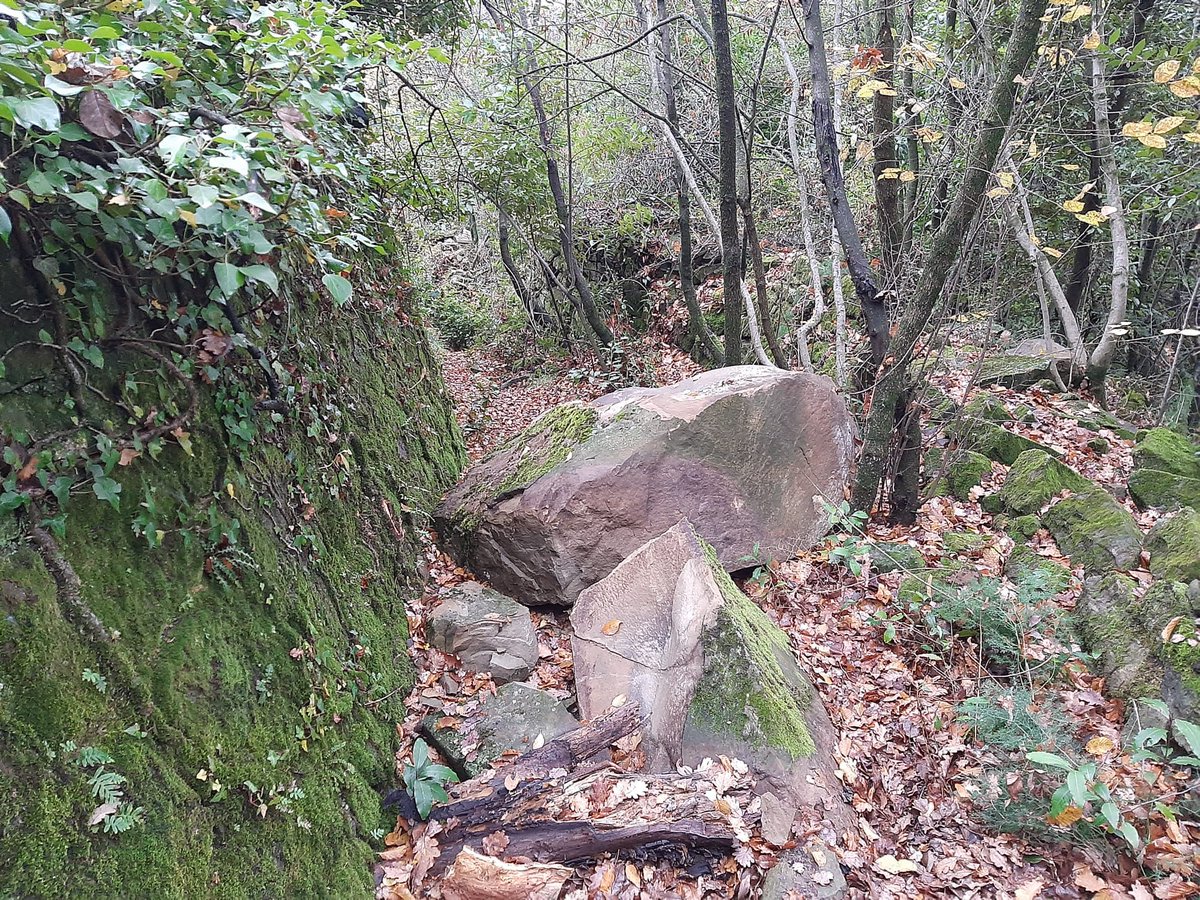 furio_honsell's tweet image. 📢 Questa mattina ho depositato un'interrogazione alla #Giunta regionale riguardo le gravi criticità geologiche e strutturali nell'area di #Trieste. Urge risposta rapida per mettere in sicurezza aree colpite da frane e smottamenti, con l'inclusione di esperti e risorse adeguate